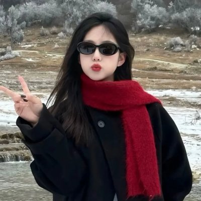盗贼泰瑞莎